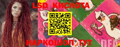 стафф Будённовск