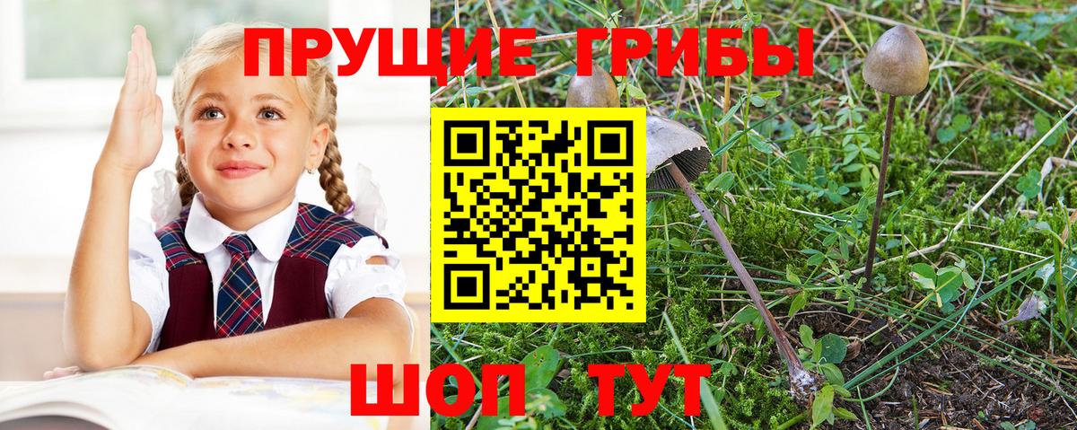 Галлюциногенные грибы ЛСД  Вход с VPN  Котельники 